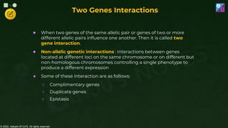 © 2022, Aakash BYJU'S. All rights reserved
Two Genes Interactions
● When two genes of the same allelic pair or genes of two or more
different allelic pairs influence one another. Then it is called two
gene interaction.
● Non-allelic genetic interactions : Interactions between genes
located at different loci on the same chromosome or on different but
non-homologous chromosomes controlling a single phenotype to
produce a different expression
● Some of these interaction are as follows:
○ Complimentary genes
○ Duplicate genes
○ Epistasis
 