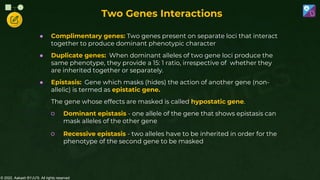 © 2022, Aakash BYJU'S. All rights reserved
Two Genes Interactions
● Complimentary genes: Two genes present on separate loci that interact
together to produce dominant phenotypic character
● Duplicate genes: When dominant alleles of two gene loci produce the
same phenotype, they provide a 15: 1 ratio, irrespective of whether they
are inherited together or separately.
● Epistasis: Gene which masks (hides) the action of another gene (non-
allelic) is termed as epistatic gene.
The gene whose effects are masked is called hypostatic gene.
○ Dominant epistasis - one allele of the gene that shows epistasis can
mask alleles of the other gene
○ Recessive epistasis - two alleles have to be inherited in order for the
phenotype of the second gene to be masked
 