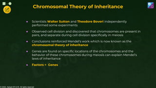 © 2022, Aakash BYJU'S. All rights reserved
Chromosomal Theory of Inheritance
● Scientists Walter Sutton and Theodore Boveri independently
performed some experiments
● Observed cell division and discovered that chromosomes are present in
pairs, and separate during cell division specifically in meiosis
● Conclusions reinforced Mendel's work which is now known as the
chromosomal theory of inheritance
● Genes are found on specific locations of the chromosomes and the
behavior of these chromosomes during meiosis can explain Mendel’s
laws of inheritance
● Factors = Genes
 