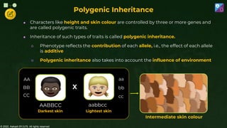 © 2022, Aakash BYJU'S. All rights reserved
Polygenic Inheritance
 Characters like height and skin colour are controlled by three or more genes and
are called polygenic traits.
 Inheritance of such types of traits is called polygenic inheritance.
○ Phenotype reflects the contribution of each allele, i.e., the effect of each allele
is additive
○ Polygenic inheritance also takes into account the influence of environment
aabbcc
AABBCC
X
AA
BB
CC
aa
bb
cc
Darkest skin Lightest skin
Intermediate skin colour
 
