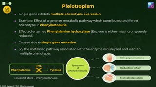 © 2022, Aakash BYJU'S. All rights reserved
Pleiotropism
 Single gene exhibits multiple phenotypic expression
 Example: Effect of a gene on metabolic pathway which contributes to different
phenotype in Phenylketonuria
 Effected enzyme : Phenylalanine hydroxylase (Enzyme is either missing or severely
reduced.)
 Caused due to single gene mutation
 So, the metabolic pathway associated with the enzyme is disrupted and leads to
multiple phenotypes
PHL
Tyrosine
Phenylalanine
Diseased state - Phenylketonuria
Symptoms
of
phenylketonuria
Mental retardation
Reduction in hair
Skin pigmentations
 