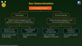 © 2022, Aakash BYJU'S. All rights reserved
Sex Determination
Determination based on the
genetic makeup of the offspring
Sex determination
Genotypic Environmental
Determination based on the
environmental factors
Based on sex
chromosomes
Haplodiploid
system
E.g., human, bird
and fruitfly
E.g., bee, ant and
wasp
E.g., crocodile,
alligator and turtle
E.g., green spoon
worm
Based on
Temperature
Based on
Location
 