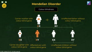 © 2022, Aakash BYJU'S. All rights reserved
XX XY
XY XY
Carrier mother with
colour blind gene
Unaffected children without
colour blind gene
Unaffected father without
colour blind gene
Affected son with
colour blind gene
Carrier daughter with
colour blind gene
XX
XX
Colour blindness
Mendelian Disorder
 