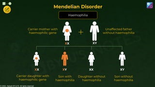© 2022, Aakash BYJU'S. All rights reserved
XX XY
XY XY
Carrier mother with
haemophilic gene
Daughter without
haemophilia
Son without
haemophilia
Unaffected father
without haemophilia
Son with
haemophilia
Carrier daughter with
haemophilic gene
XX
XX
Haemophilia
Mendelian Disorder
 