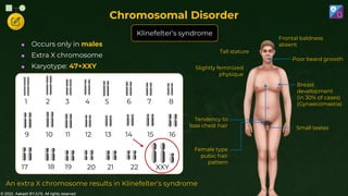© 2022, Aakash BYJU'S. All rights reserved
 Occurs only in males
 Extra X chromosome
 Karyotype: 47+XXY
9 10 11 12 13 14 15 16
1 2 3 4 5 6 7 8
17 18 19 20 21 22
An extra X chromosome results in Klinefelter’s syndrome
Tall stature
Slightly feminized
physique
Tendency to
lose chest hair
Female type
pubic hair
pattern
Poor beard growth
Breast
development
(in 30% of cases)
(Gynaecomastia)
Small testes
Frontal baldness
absent
XXY
Klinefelter’s syndrome
Chromosomal Disorder
 