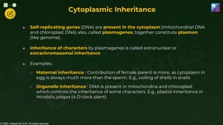 © 2022, Aakash BYJU'S. All rights reserved
Cytoplasmic Inheritance
 Self-replicating genes (DNA) are present in the cytoplasm (mitochondrial DNA
and chloroplast DNA) also, called plasmagenes, together constitute plasmon
(like genome).
 Inheritance of characters by plasmagenes is called extranuclear or
extrachromosomal inheritance
 Examples:
o Maternal inheritance : Contribution of female parent is more, as cytoplasm in
egg is always much more than the sperm. E.g., coiling of shells in snails
o Organelle inheritance : DNA is present in mitochondria and chloroplast
which controls the inheritance of some characters. E.g., plastid inheritance in
Mirabilis jalapa (4 O'clock plant)
 