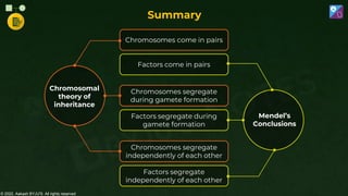 © 2022, Aakash BYJU'S. All rights reserved
Chromosomes come in pairs
Chromosomes segregate
during gamete formation
Chromosomal
theory of
inheritance
Chromosomes segregate
independently of each other
Factors come in pairs
Factors segregate during
gamete formation
Factors segregate
independently of each other
Mendel’s
Conclusions
Summary
 