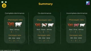 © 2022, Aakash BYJU'S. All rights reserved
Genotypic ratio
RR : RW : WW
1 : 2 : 1
Red : Roan : White
1 : 2 : 1
Phenotypic ratio
Co-dominance
Red : White
3 : 1
Phenotypic ratio
Genotypic ratio
RR : RW : WW
Complete dominance Incomplete dominance
Genotypic ratio
Red : Pink : White
1 : 2 : 1
Phenotypic ratio
1 : 2 : 1
RR : RW : WW
1 : 2 : 1
Summary
 