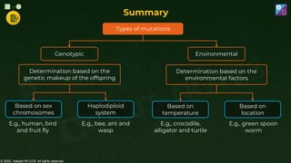 © 2022, Aakash BYJU'S. All rights reserved
Summary
Determination based on the
genetic makeup of the offspring
Types of mutations
Genotypic Environmental
Determination based on the
environmental factors
Based on sex
chromosomes
Haplodiploid
system
E.g., human, bird
and fruit fly
E.g., bee, ant and
wasp
E.g., crocodile,
alligator and turtle
E.g., green spoon
worm
Based on
temperature
Based on
location
 