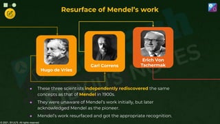© 2021, BYJU'S. All rights reserved
Resurface of Mendel’s work
Hugo de Vries
Carl Correns
Erich Von
Tschermak
● These three scientists independently rediscovered the same
concepts as that of Mendel in 1900s.
● They were unaware of Mendel’s work initially, but later
acknowledged Mendel as the pioneer.
● Mendel’s work resurfaced and got the appropriate recognition.
 
