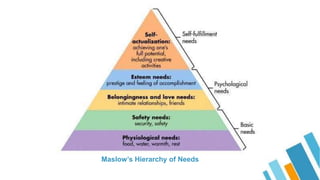 Maslow’s Hierarchy of Needs
 