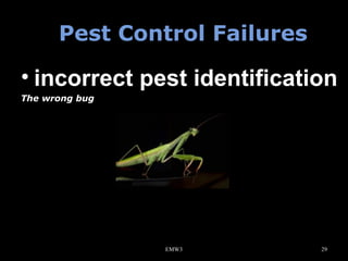 Pest Control Failures

• incorrect pest identification
The wrong bug

EMW3

29

 