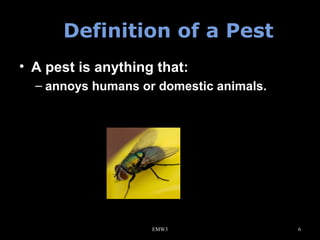 Definition of a Pest
• A pest is anything that:
– annoys humans or domestic animals.

EMW3

6

 