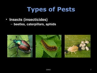 Types of Pests
• Insects (insecticides)
– beetles, caterpillars, aphids

EMW3

7

 