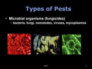 Types of Pests
• Microbial organisms (fungicides)
– bacteria, fungi, nematodes, viruses, mycoplasmas

EMW3

9

 