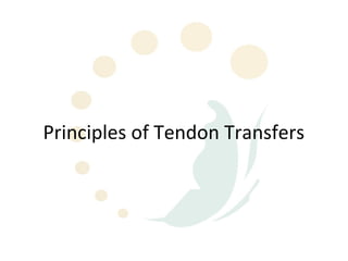 Principles of Tendon Transfers
 