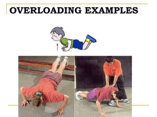Principles-of-Training.ppt