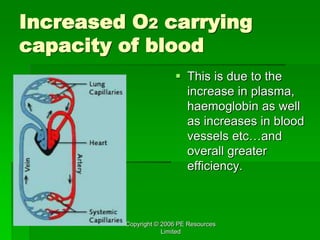 Copyright © 2006 PE Resources
Limited
Increased O2 carrying
capacity of blood
 This is due to the
increase in plasma,
haemoglobin as well
as increases in blood
vessels etc…and
overall greater
efficiency.
 