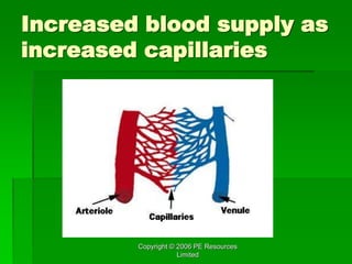 Copyright © 2006 PE Resources
Limited
Increased blood supply as
increased capillaries
 