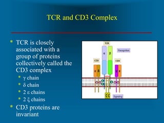 principles-of-transplantation.ppt