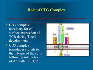 principles-of-transplantation.ppt
