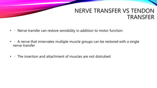 Principles and applications of Nerve transfer by Maheen Fatima.pptx
