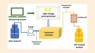 Principles and applications of non thermal processing.pdf