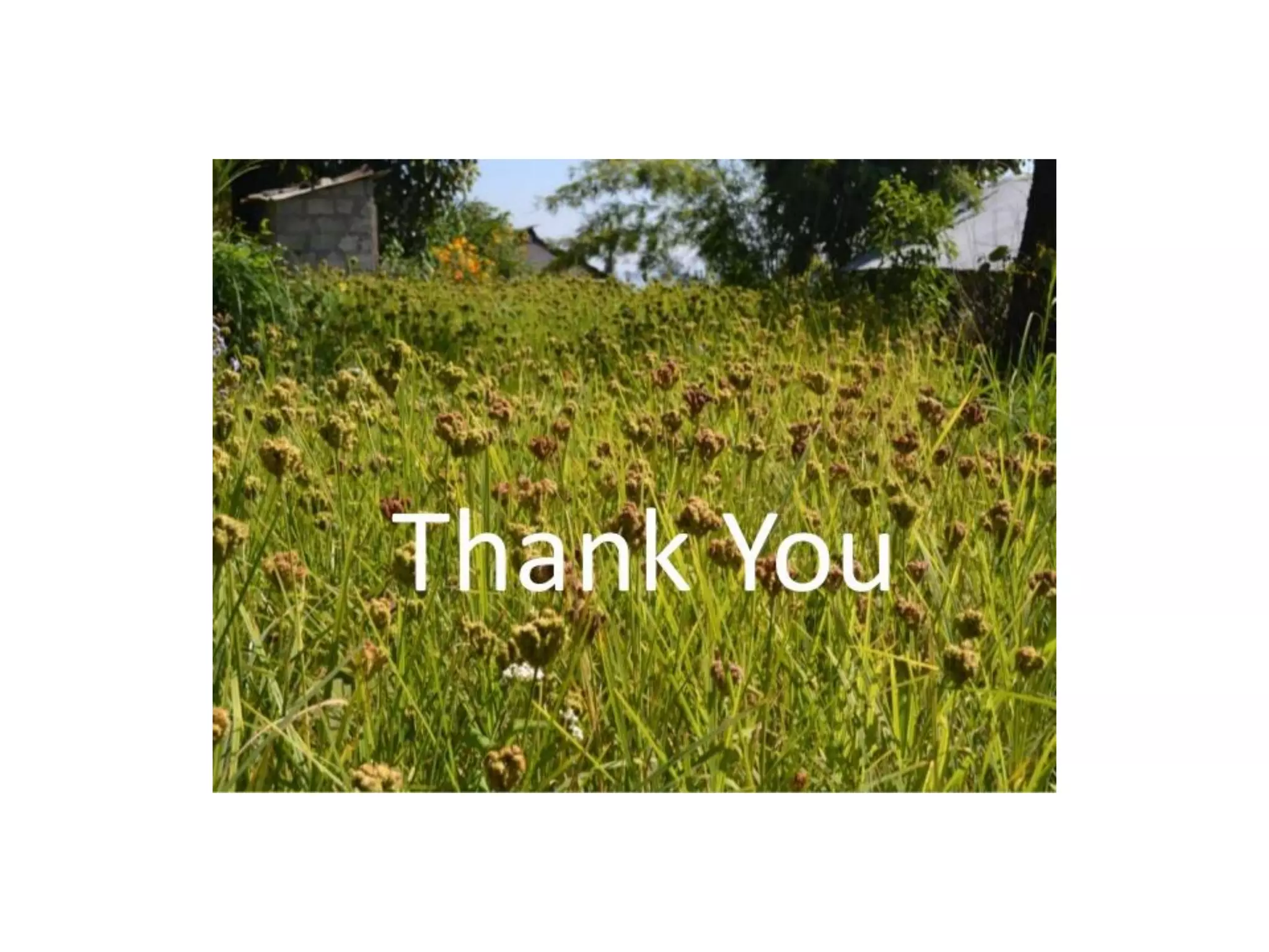 Principles and approaches of converting conventional farms into sustainable farms rajiv khanal 