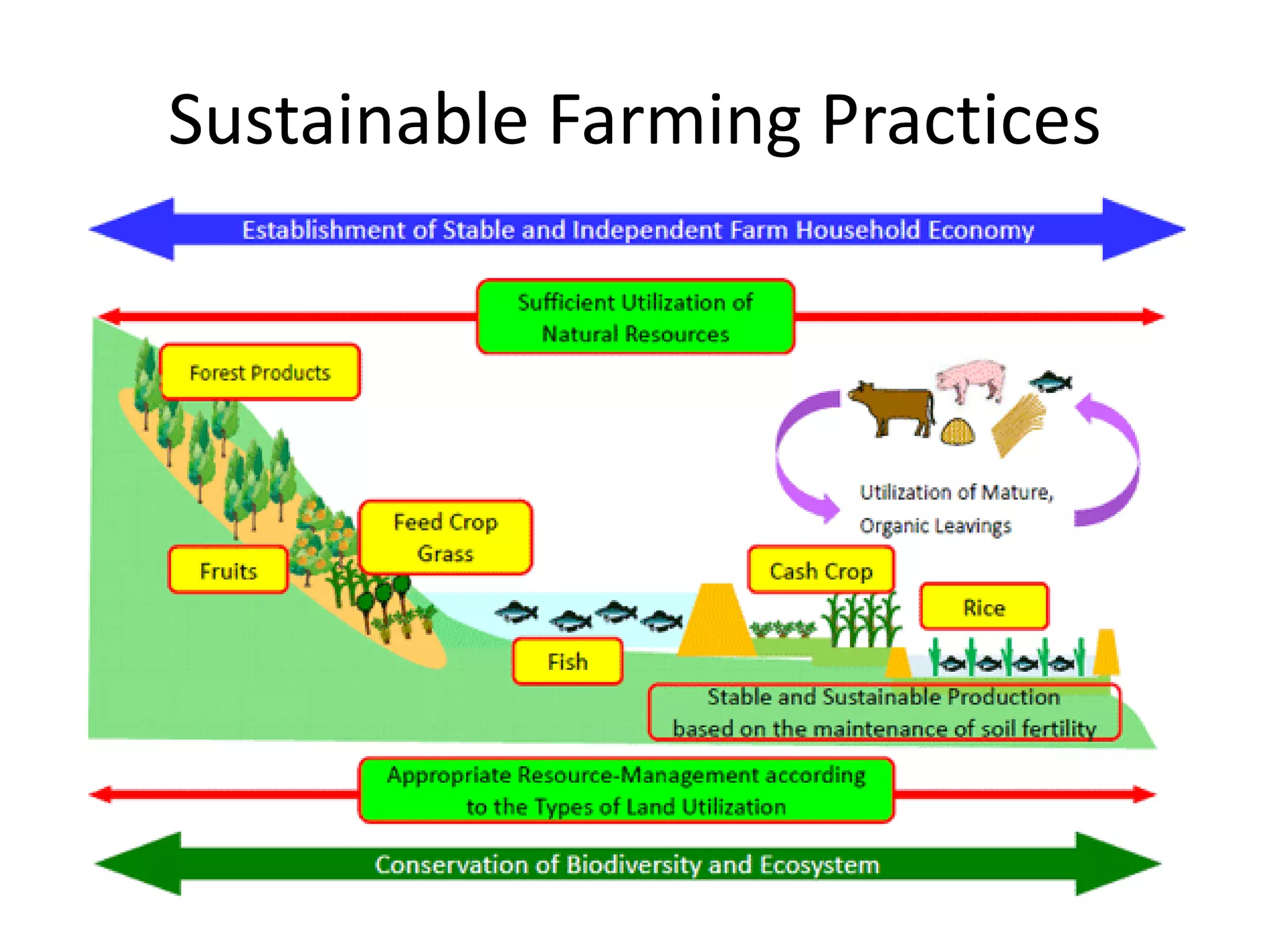 Sustainable Farming Practices
 