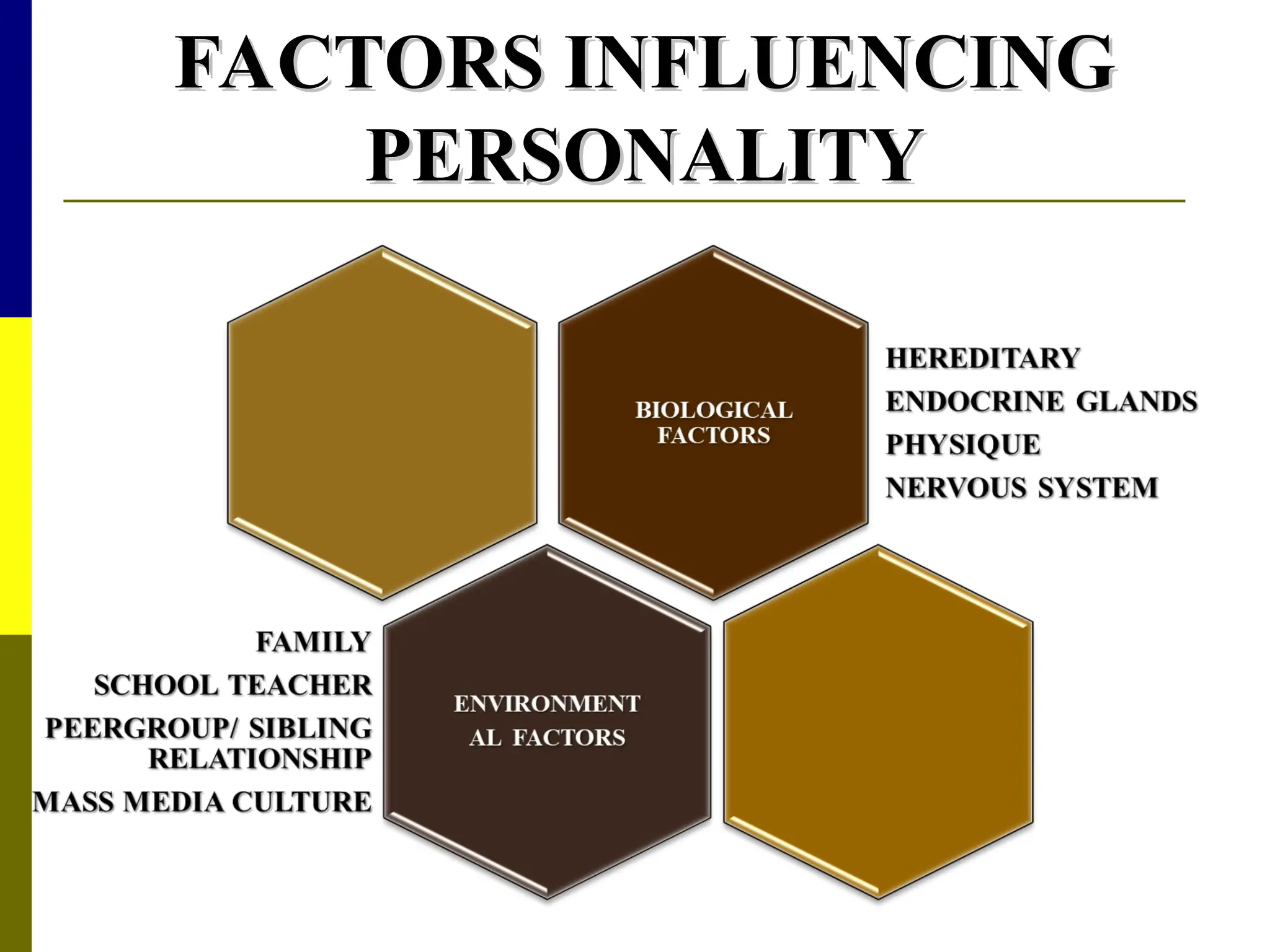 FACTORS INFLUENCING
FACTORS INFLUENCING
PERSONALITY
PERSONALITY
 