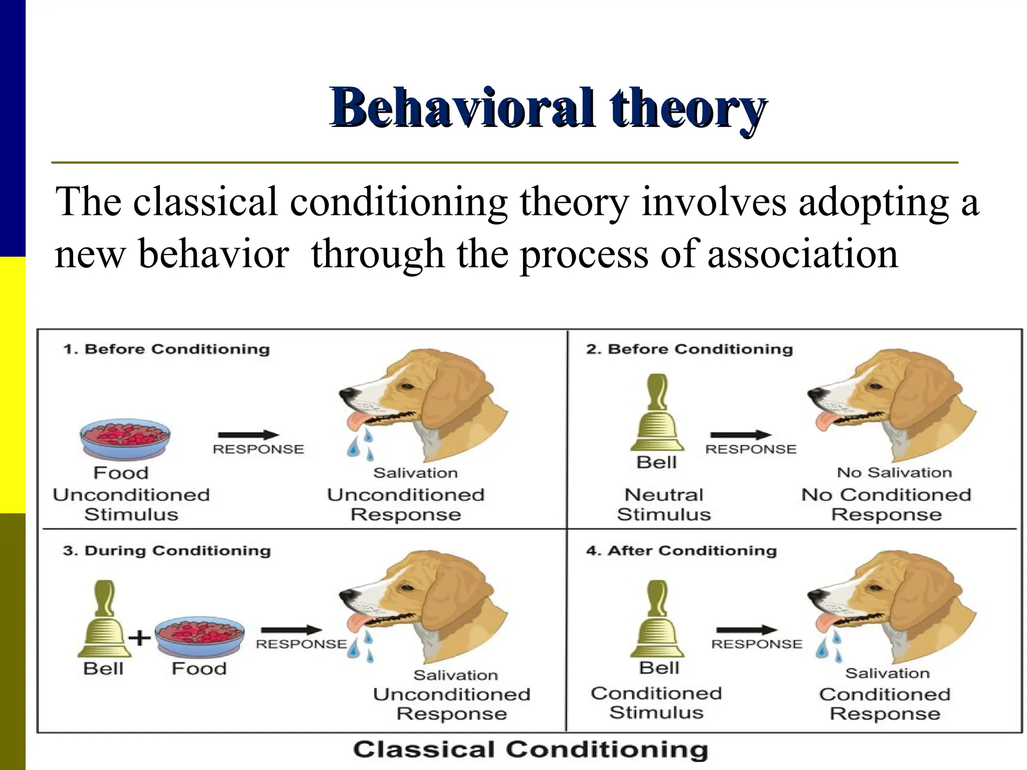 Behavioral theory
Behavioral theory
The classical conditioning theory involves adopting a
new behavior through the process of association
 