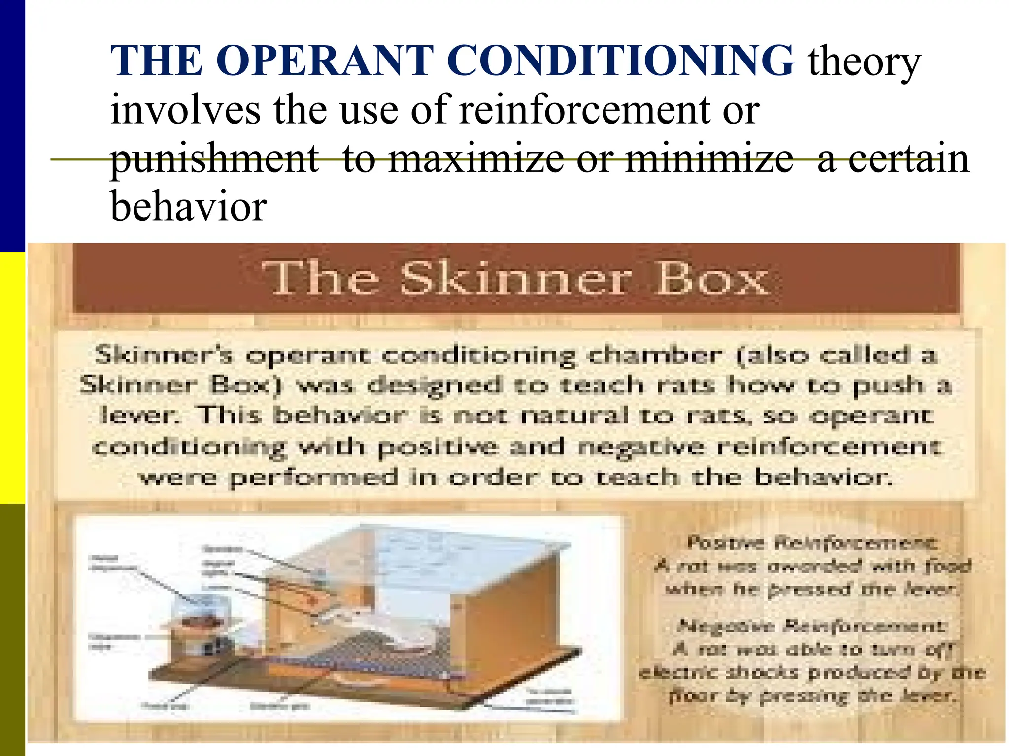 THE OPERANT CONDITIONING theory
involves the use of reinforcement or
punishment to maximize or minimize a certain
behavior
 