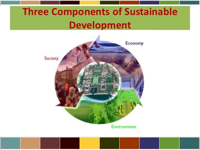 Principles and Practices for Sustainable Fruit Production