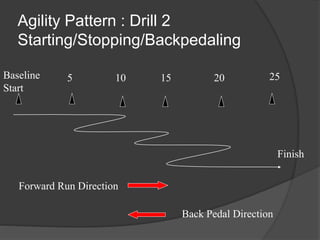 Agility Pattern : Drill 2
Starting/Stopping/Backpedaling
5 10 15 20Baseline
Start
25
Forward Run Direction
Back Pedal Direction
Finish
 