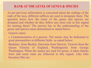 RANK AT THE LEVEL OF GENUS & SPECIES
As per previous information is concerned about the endings of the
rank of the taxa, different suffixes are used to designate them. The
question arises how the name of the genus and species are
designed and whether do they follow any strict rule in this regard
for naming them? The answer lies in the understanding of the
genus and species name determined as stated below:
A. Generic name:
i. Commemoration of a person- The names may be dedicated to
great personalities in different fields as stated below:
Bauhinia from Bauhin, Darwinia from Darwin, Victoria from the
Queen Victoria of England, Washingtonia from George
Washington. When the names are used for genus, it takes famine
form and some rules are followed in this regard. Like Otto
becomes Otto etc.
 