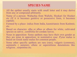 SPECIES NAME
 All the epithet usually starts with small letter and it may derive
from any or compound arbitrarily.
 Name of a person: Wallachia from Wallchi, Hookari for Hooker
etc (If it is becomes genitive or possessive form, it becomes
capital).
 Formed by a place- indica from India, kasmiriansis from Kashmir,
etc.
 Based on character- alba or albus or album for white, cultivated
species as sativa , cordifolia for cordate leaves.
 Noun in apposition- Some epithets may have their own gender as
they are noun in apposition, in nominative case .Pyrus malus is
based on Greek name malus for common people.
 Some other specific epithets are rara (rare), vulgaris (common),
autmnalis ( autumn), ethnic or superstitious denotations like
religiosa , serpentina etc.
 