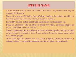SPECIES NAME
 All the epithet usually starts with small letter and it may derive from any or
compound arbitrarily.
 Name of a person: Wallachia from Wallchi, Hookari for Hooker etc (If it is
becomes genitive or possessive form, it becomes capital).
 Formed by a place- indica from India, kasmiriansis from Kashmir, etc.
 Based on character- alba or albus or album for white, cultivated species as
sativa , cordifolia for cordate leaves.
 Noun in apposition- Some epithets may have their own gender as they are noun
in apposition, in nominative case .Pyrus malus is based on Greek name malus
for common people.
 Some other specific epithets are rara (rare), vulgaris (common), autmnalis (
autumn), ethnic or superstitious denotations like religiosa , serpentina etc.
 
