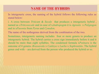 NAME OF THE HYBRIDS
In intergeneric cross, the naming of the hybrid follows the following rules as
stated below:
i. A cross between Triticum & Secale that produces a intergeneric hybrid ,
named as xTriticosecale and in case of xAndropogon it is Agrostis x Polypogon
and in xPaeonia from Pyrus and Cynodon.
The name of the nothogenus derived from the combination of the two.
Sometimes, intergeneric naming includes four or more genera to produce an
intergeneric hybrid. The hybrid carries a cross sign immediately before it and it
should be more than eight syllables. The condensed formula xPotinara is the
outcome of 4 genera- Brassavola x Cattleya x Laelia x Sophrontitis. The hybrid
genus end with – ara derived from the person who produced the hybrid or so.
 