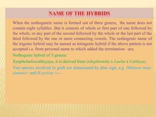 NAME OF THE HYBRIDS
When the nothogeneic name is formed out of three genera, the name does not
contain eight syllables .But it consists of whole or first part of one followed by
the whole, or any part of the second followed by the whole or the last part of the
third followed by the one or more connecting vowels. The nothogenic name of
the trigenic hybrid may be named as tetragenic hybrid if the above pattern is not
accepted i.e. from personal name to which added the termination –ara.
Nothogenic hybrid of 3 genera:
Xsopholaeliocattleyaya, it is derived from (xSophronitis x Laelia x Cattleya).
Two species involved in graft are demarcated by plus sign, e.g. Hibiscus rosa-
sinensis+ and H.syricus +---
 