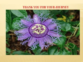 THANK YOU FOR YOUR JOURNEY
 