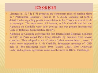 ICN OR ICBN
 Linnaeus in 1737 & 1751 proposed the elementary rules of naming plants
in ‘ Philosophia Botanica’. Then in 1813, A.P.de Candolle set forth a
detailed rules regarding plants nomenclature in his Theories element ire de
la botanique. The same rules of Linnaeus, A.P.de Candolle and his son,
Alphonse de Candolle were later evolved into our present International
Code of Botanical Nomenclature (ICBN).
 Alphonse de Candolle convened the first International Botanical Congress
in 1867 in Paris called Paris Code attended by botanists from several
countries. They adopted a set of rules of plant nomenclature , most of
which were proposed by A. de Candolle. Subsequent meetings of ICBN
held in 1892 (Rochester code), 1905 (Vienna Code), 1907 (American
Code) and a general agreement came into the force on IBC at Cambridge.
 
