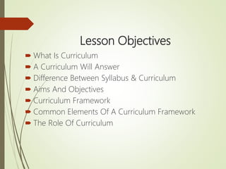 Principles and theories in curriculum development | PPTX