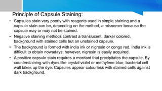 Capping Staining Patterns PRINCIPLES AND TYPES OF STAINING.pdfgooood. | PDF
