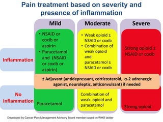 Weak Nsaids Principles in cancer pain management = j ansen 2014 | PPTX