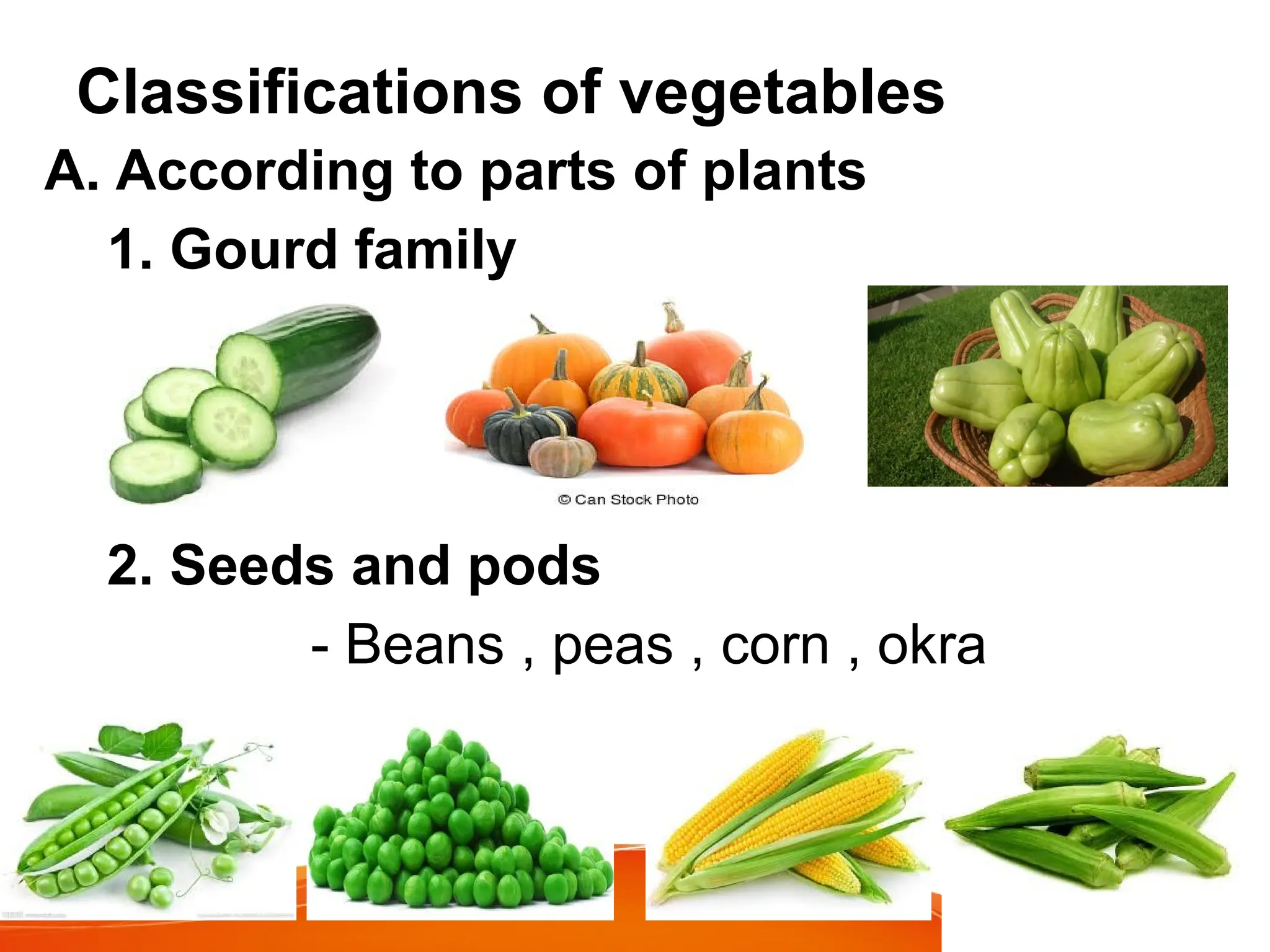Classifications of vegetables
A. According to parts of plants
1. Gourd family
2. Seeds and pods
- Beans , peas , corn , okra
 