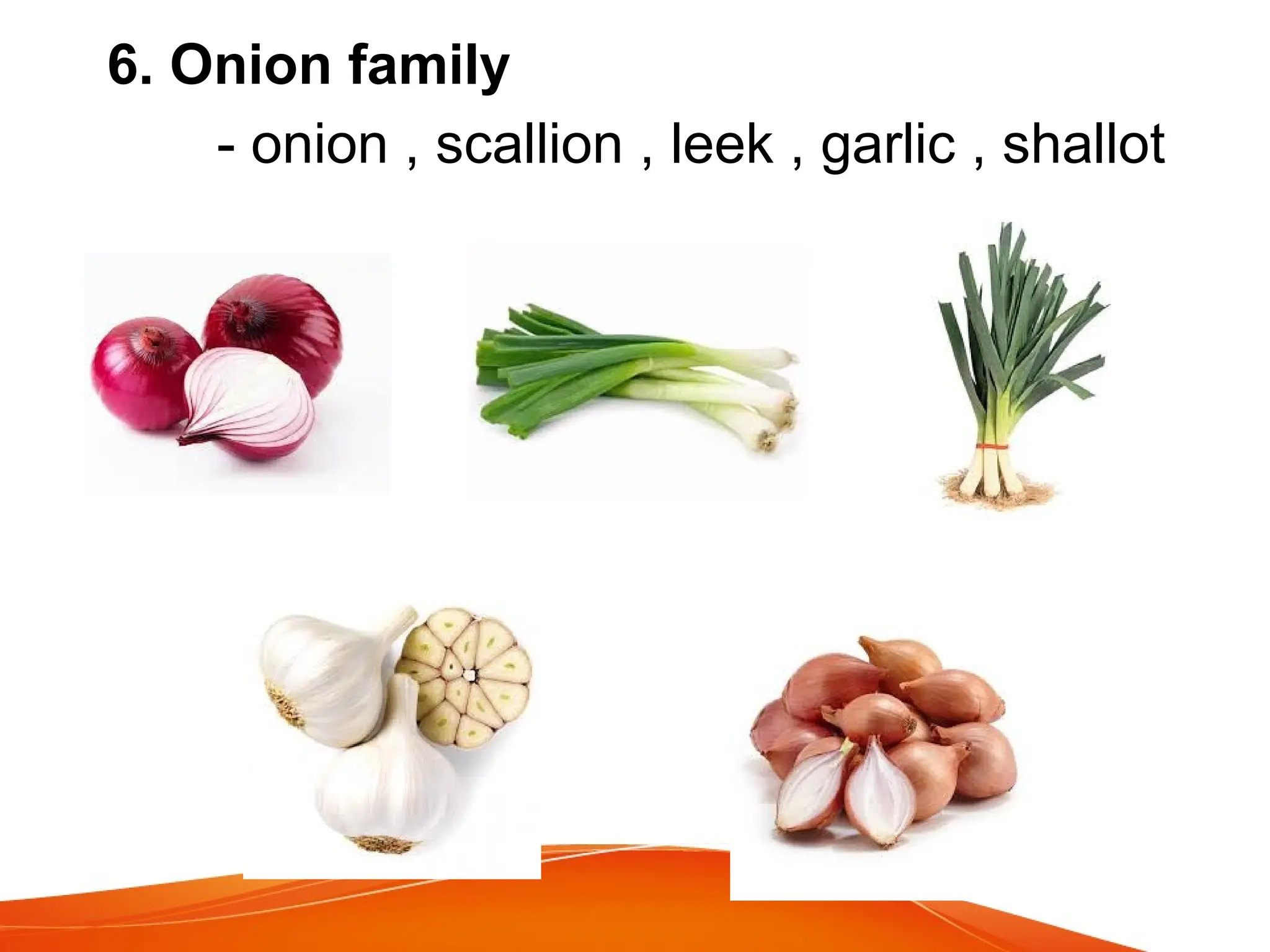 6. Onion family
- onion , scallion , leek , garlic , shallot
 