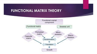 PRINCIPLES & MODE OF ACTION OF FUNCTIONAL PRATIK.pptx