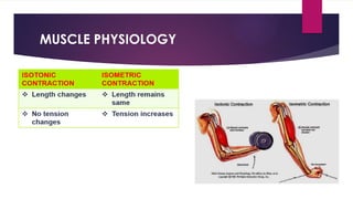 PRINCIPLES & MODE OF ACTION OF FUNCTIONAL PRATIK.pptx
