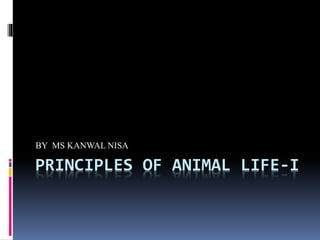 PRINCIPLES OF ANIMAL LIFE-I
BY MS KANWAL NISA
 