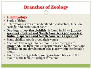 Zoology and Its Scope | PPT